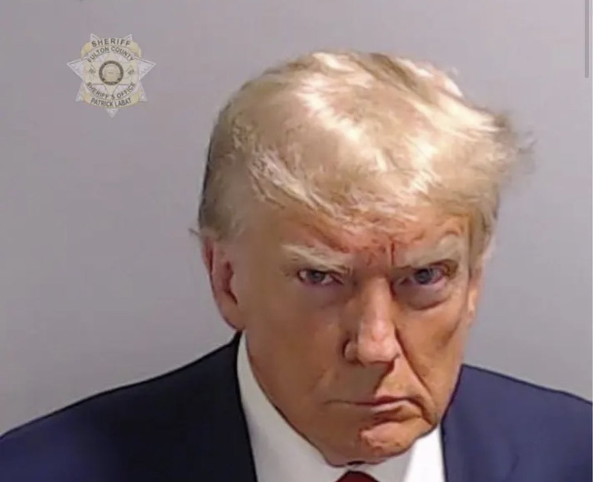 Does it seem unreasonable to say that if you’re unable to vote as a felon, you shouldn’t be able to run for President as a felon?