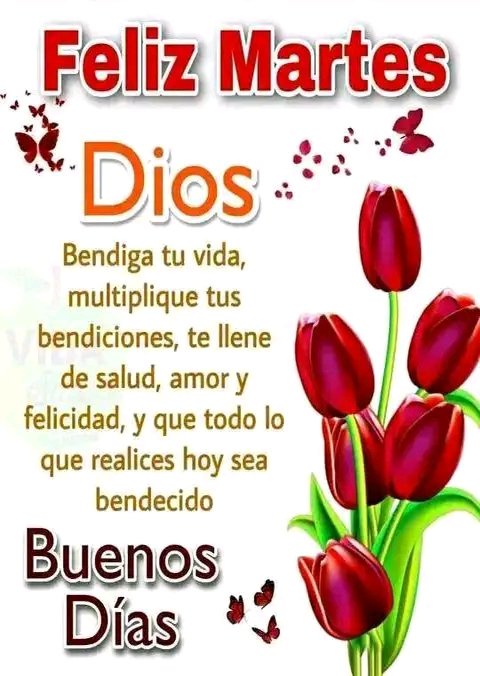 ¡¡Buenos días gente linda de X, que tengan un maravilloso día martes!!🙏🙋‍♀️🤗😘🌹