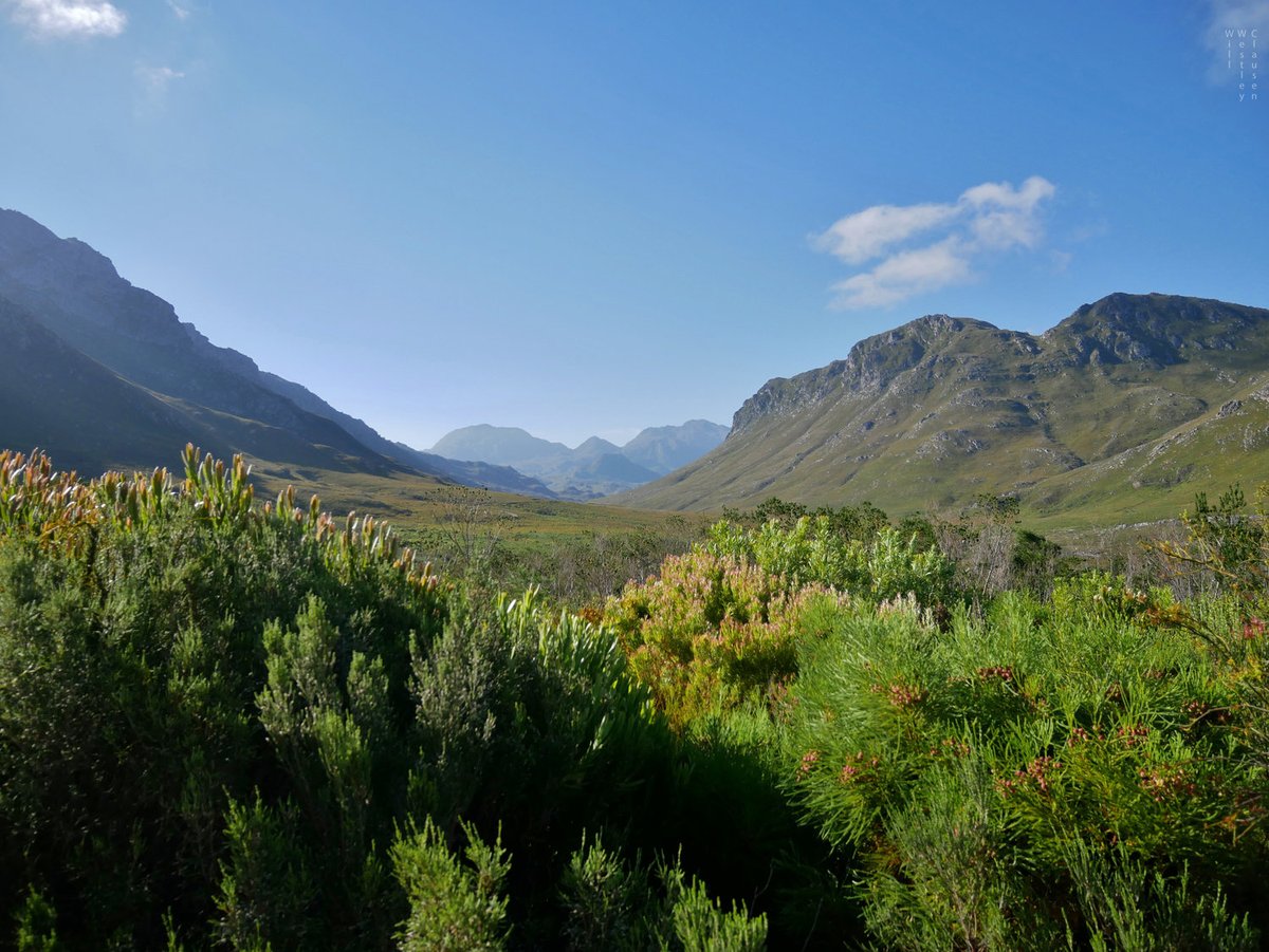 Elisa Van Cleemput (@elisavcleemput) on Twitter photo This superexciting @nasa_bioscape postdoc position is available <a href="/CUBoulder/">CU Boulder 🦬</a>, using remote sensing technology ✈️to study biodiversity and invasion in the fynbos of South Africa. jobs.colorado.edu/jobs/JobDetail… This superexciting @nasa_bioscape postdoc position is available <a href="/CUBoulder/">CU Boulder 🦬</a>, using remote sensing technology ✈️to study biodiversity and invasion in the fynbos of South Africa. jobs.colorado.edu/jobs/JobDetail…