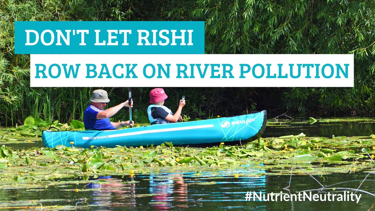 WildlifeTrusts's tweet photo. The Government is planning to scrap laws that prevent pollution in our rivers.

If we are to put nature’s recovery back on course we can’t let this happen.

@RishiSunak don’t scrap #NutrientNeutrality (1/2) https://t.co/3kvAlqdQ5H