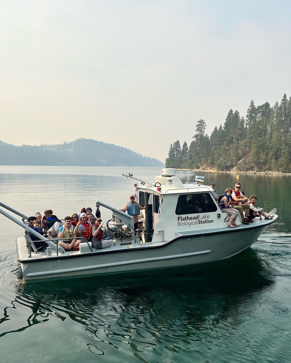 FLBS - Univ. MT tweet media