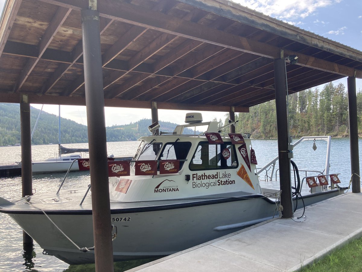 FLBS - Univ. MT tweet media