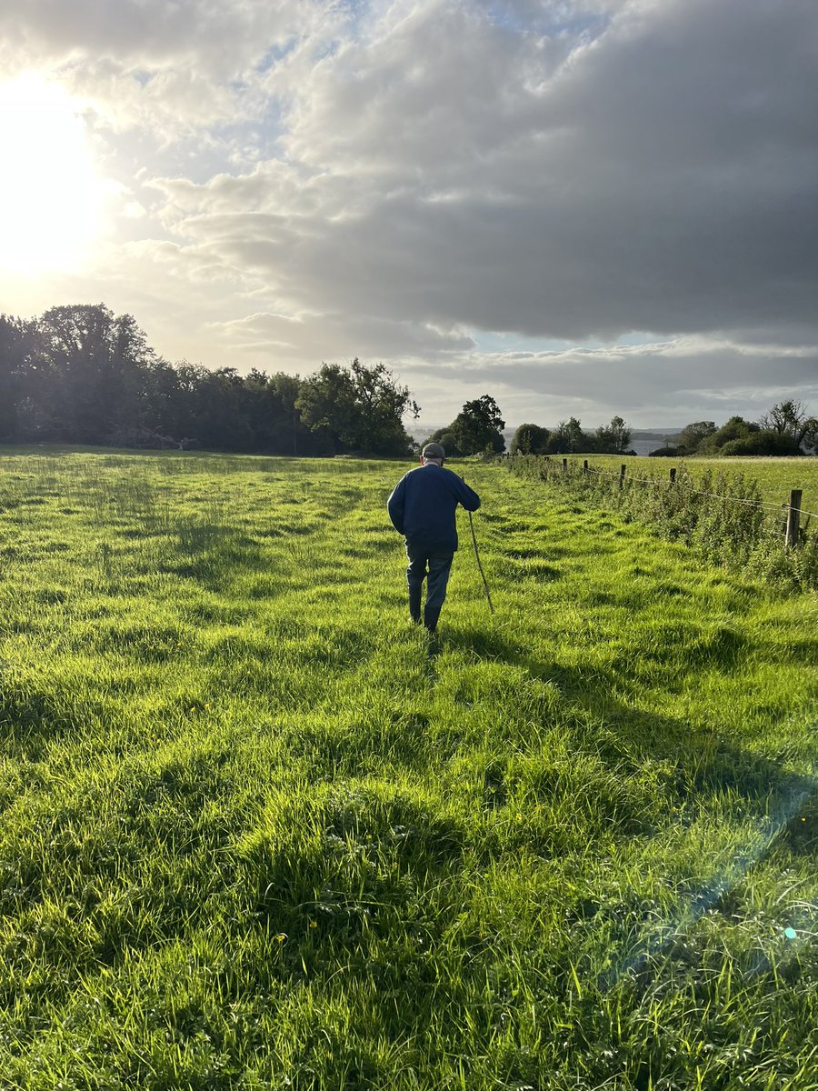 Brookfield Farm tweet media