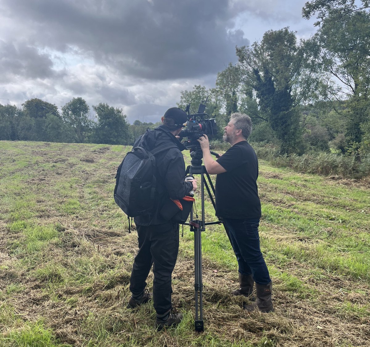 Brookfield Farm tweet media