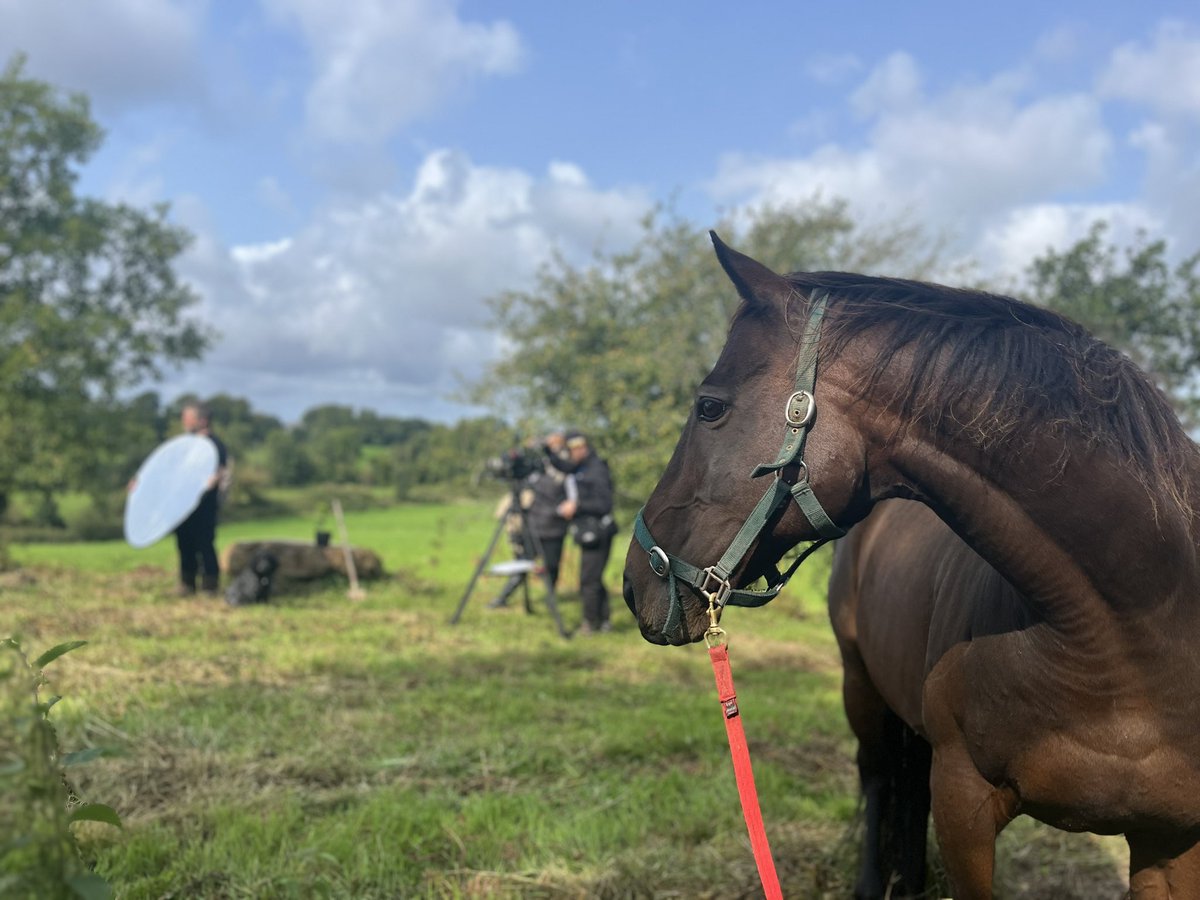 Brookfield Farm tweet media