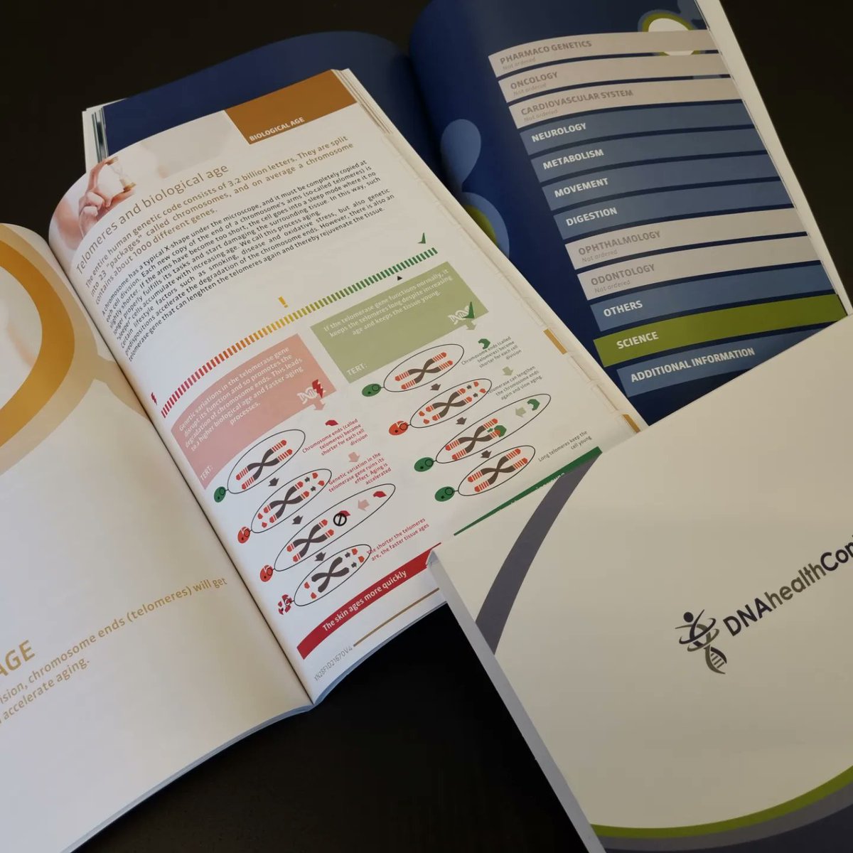 swisskinclinic's tweet photo. DNA Test

Abnahmen und Skincare nach DNA

#swisskinclinic #progenom #dnaanalyse #medical #arzt #beauty #skincare #zurich #abnehmen #almalasers #vitalinjektor #kryolipolyse https://t.co/2QU6K7OUob