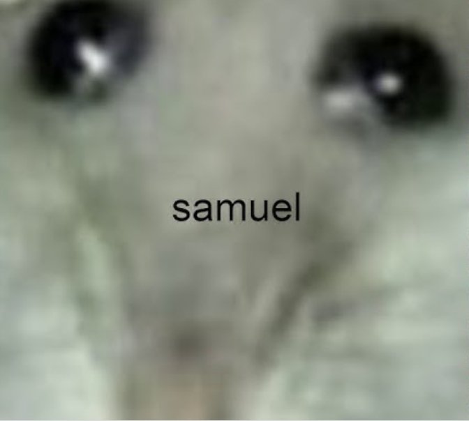 ReeZey 𐄂 tweet media