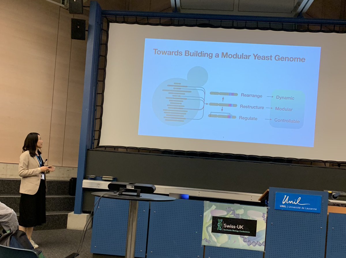 A_Kishkevich's tweet photo. @ProfTomEllis’s group representation at #swissuksynbio meeting: @ProfTomEllis and @Xinyu80256297 were talking about rewriting and redesigning yeast genome. If you are interested in learning about what else we do in the group, then come to see my poster 38 tomorrow. https://t.co/4BdC4N28cy