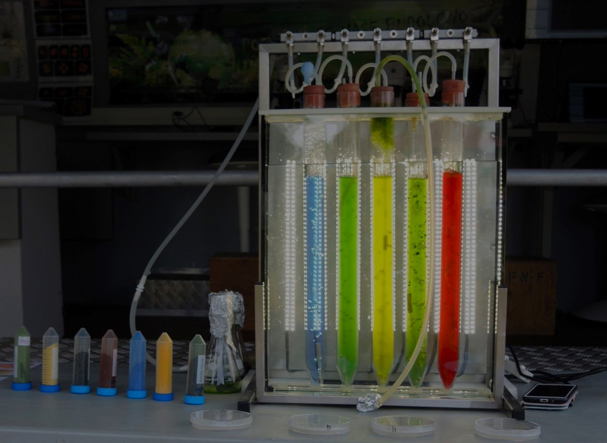 AlgatechTrebon's tweet image. Skvělá prezentace centra #ALGATECH na výstavě Země živitelka v Českých Budějovicích. Více na alga.cz/p-events.html