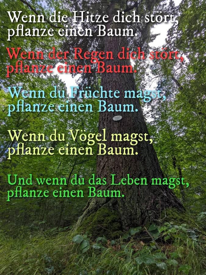 AndersZahnwal's tweet photo. ~ Hans Carl von Carlowitz
#Forstwirtschaft
Es geht darum nur so viel Holz aus dem Wald zu entnehmen, wie in derselben Zeitperiode nachgewachsen ist. Der Wald eine nie endende Quelle an Brenn & Baumaterial. Nahrung
Nüsse & Früchte
#Lebensraum, #Klimaregulator & #Erholungsort https://t.co/eWJXcQ8LAF