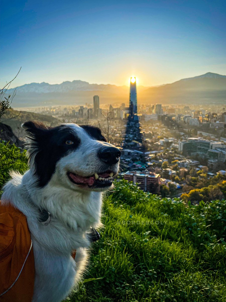 golomalo's tweet image. 🗓 Semana 84 consecutiva llevando registro de lo que recorremos y recogemos: 
#SambombazoProject 🐕‍🦺🏃🏻‍♂️🧤 
2022 + 2023 📊
2979,6 kilómetros de #Plogging 
28.900 litros recogidos 
11.838 botellas 
5.833 latas 
#nodejesrastro sólo tus huellas