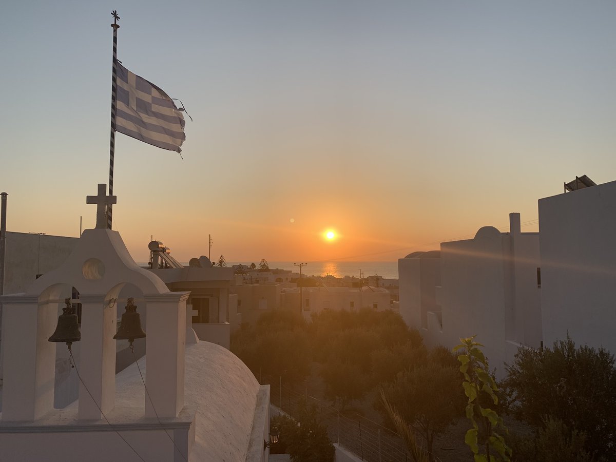 The Traveling Toads tweet media