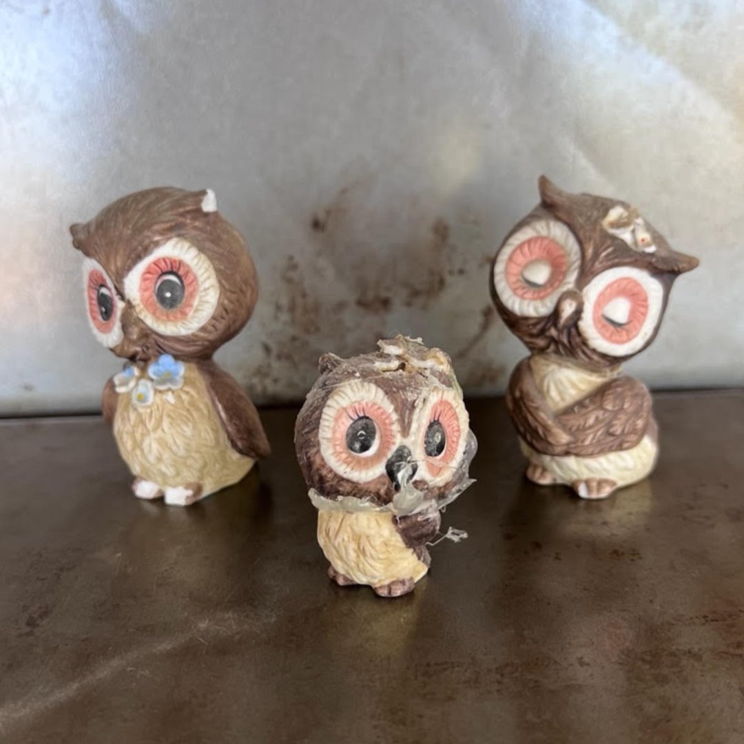 The Keepthings (@thekeepthings) on Twitter photo "Mom loved owls. She’d stop in the middle of washing dinner dishes if she heard the hoot of an owl in our backyard, closing her eyes as if she were listening to a Sergio Franchi record." —from <a href="/m_finn_johnson/">Michele Finn Johnson</a>'s beautiful "The Trio of Owls"
open.substack.com/pub/thekeepthi… "Mom loved owls. She’d stop in the middle of washing dinner dishes if she heard the hoot of an owl in our backyard, closing her eyes as if she were listening to a Sergio Franchi record." —from <a href="/m_finn_johnson/">Michele Finn Johnson</a>'s beautiful "The Trio of Owls"
open.substack.com/pub/thekeepthi…
