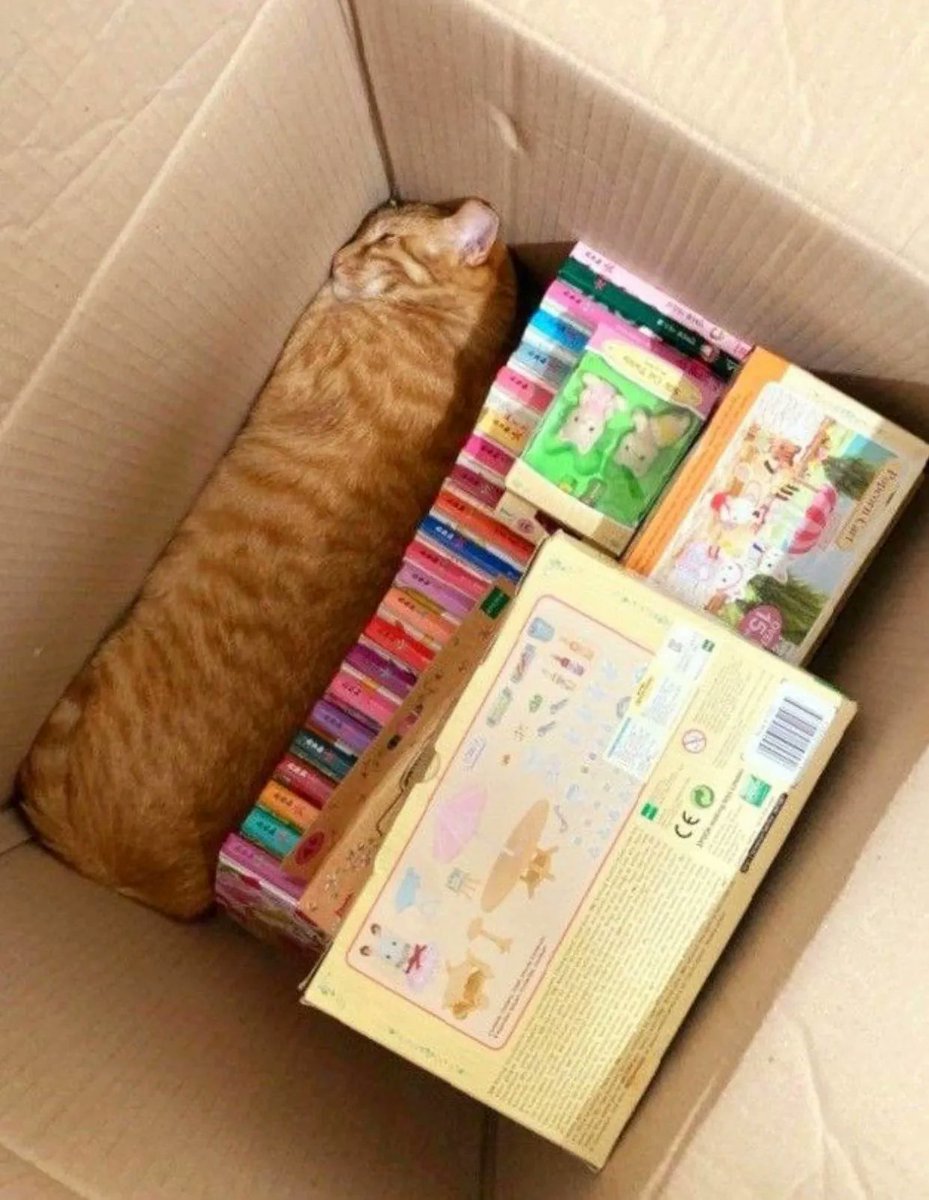 Why you should have a cat (@shouldhavecat) on Twitter photo 