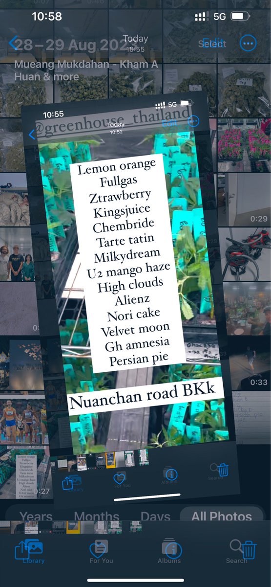 14 original strains now ready for all growers in Thailand 
Pick up at Nuanchan road Bangkok 
Selected by Dust and arjan