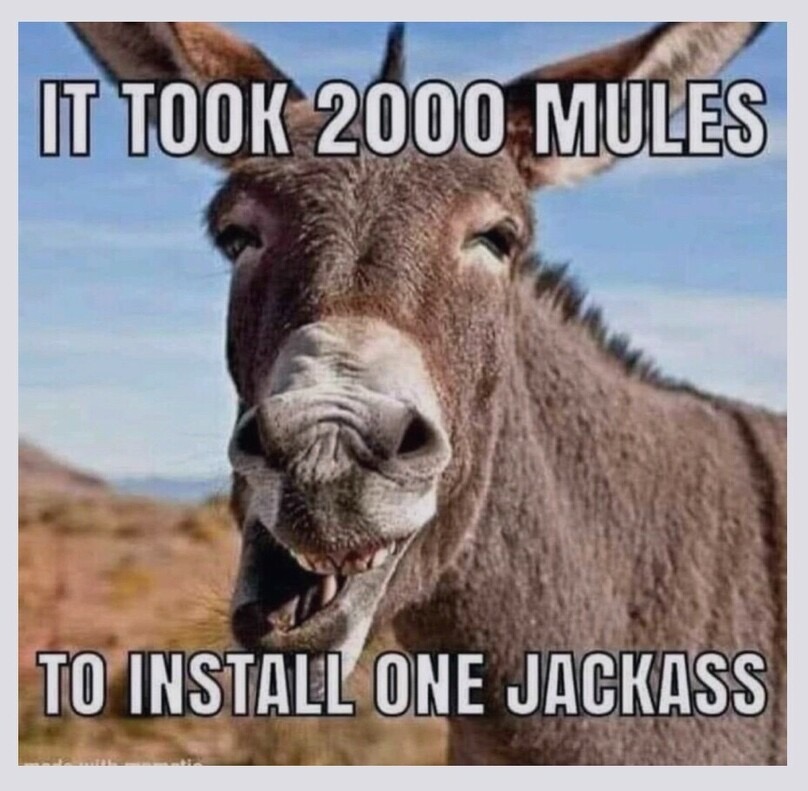#PeriklesDepot From Dinesh D'Souza: 🚨'Both the Special Counsel second indictment and the Georgia indictment hinge on the premise the 2020 election wasn’t rigged and stolen? What if it was? I’m going to post “2000 Mules” free on X for one weekend, September 8-10, so everyone…