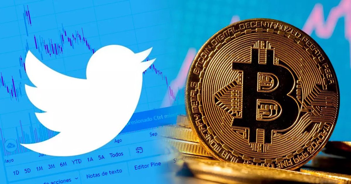 healthy_pockets's tweet photo. 🔥YA ES OFICIAL🔥

#TwitterX ha OBTENIDO la LICENCIA OFICIAL para poder REALIZAR los pagos #Crypto y en #Bitcoin 🥳🔥

Grande ELON 😎⚡️ https://t.co/Mrnl2oyoqs