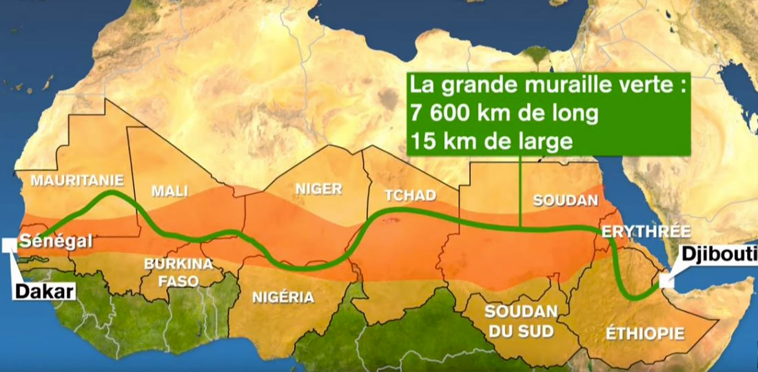 🌱La Grande Muraille Verte : un écosystème en action !
🌍 Ce projet vise à restaurer les terres arides à travers l'Afrique en plantant de nombreux🌳 

Un pas vital vers la lutte contre le changement climatique et la préservaion de la biodiversité #GreatGreenWall #climatecrisis ✊