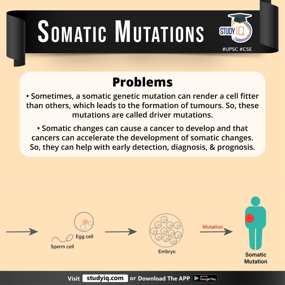 Somatic Mutations

#somaticmutations #somaticvariants #usa #whyinnews #dna #spermcell #womenegg #familyhistory #futuregenerations #somatichanges #specificprotein #cells #tumours #cancer #upsc #cse #ips #ias #worldaffairs