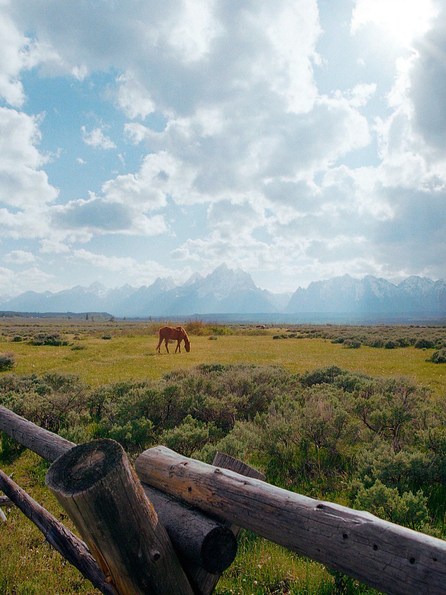 nev_in_color's tweet photo. Out West on 35mm 🎞️ https://t.co/2Cg2lQ8g4a