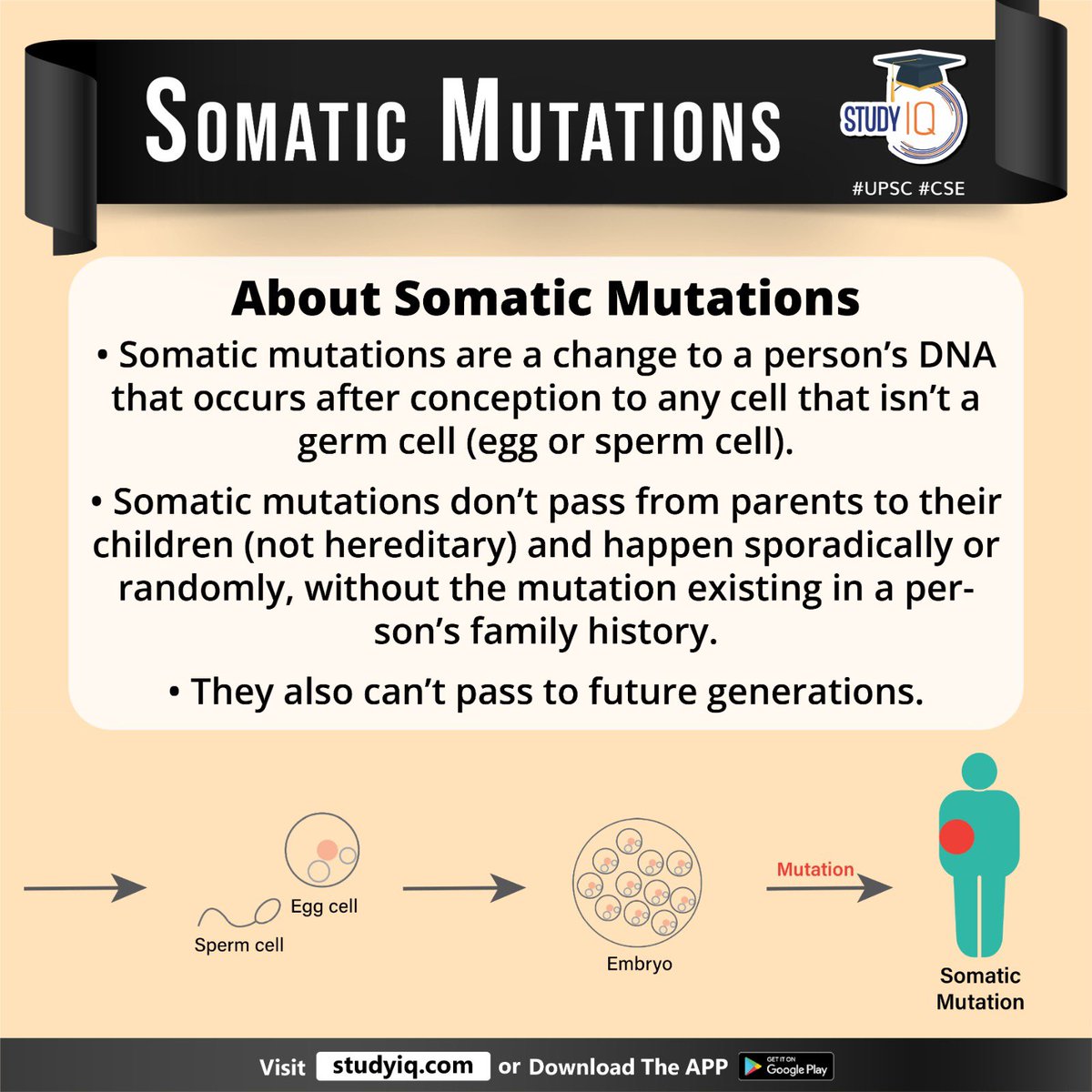 upsciq's tweet photo. Somatic Mutations
#somaticmutations #somaticvariants #usa #whyinnews #dna #spermcell #womenegg #familyhistory #futuregenerations #somatichanges #specificprotein #cells #tumours #cancer #upsc #cse #ips #ias #worldaffairs https://t.co/bAByoPST91