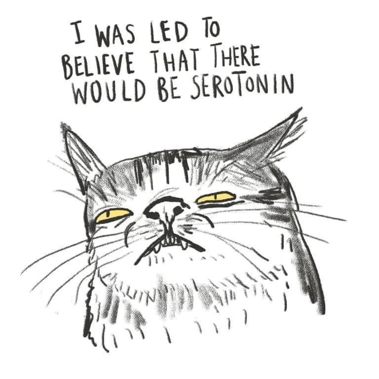 Your last selfie is who you are on the outside and your last saved meme is who you are on the inside.