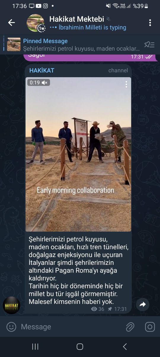 sıcakdan zeka seviyesi şuralara düştü