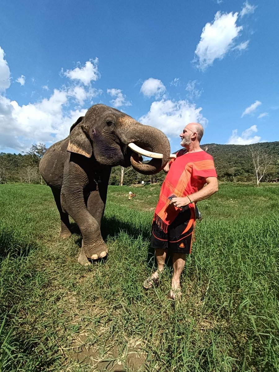 chokchai_camp's tweet photo. When your trunk game is on point! 🐘 Who needs utensils when you have an elephant's best friend? #ChokchaiElephantCamp #TrunkGoals https://t.co/sEFfkpmQhu