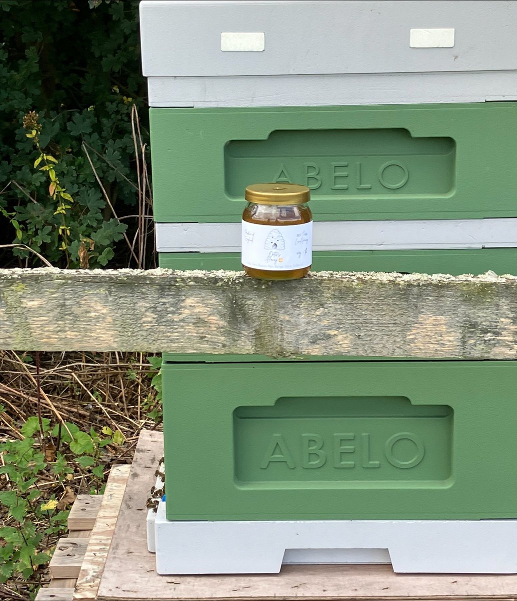 OnticEng's tweet photo. Colleagues at our Cleeve site have been busy harvesting honey from our very own beehive - a new addition to our garden this summer! 🍯 #CSR #sustainability #ESG #corporategarden #localemployer #cheltenham #gloucester https://t.co/NrwikPhhbF