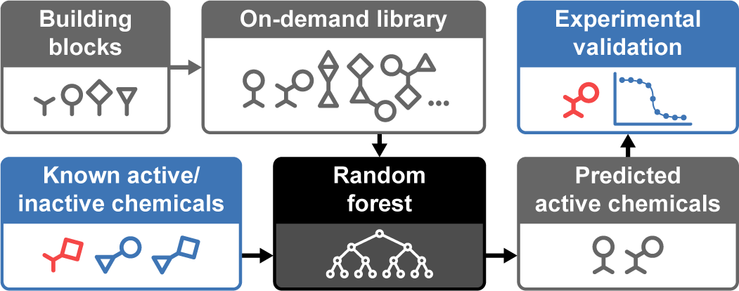 anthonygitter's tweet photo. Our manuscript "Evaluating Scalable Supervised Learning for Synthesize-on-Demand Chemical Libraries" has been published https://t.co/1MPUouFRHa

We used supervised learning to identify and experimentally confirm bacterial protein interaction inhibitors from @EnamineLtd REAL. 1/X https://t.co/NKCV6BPPVw