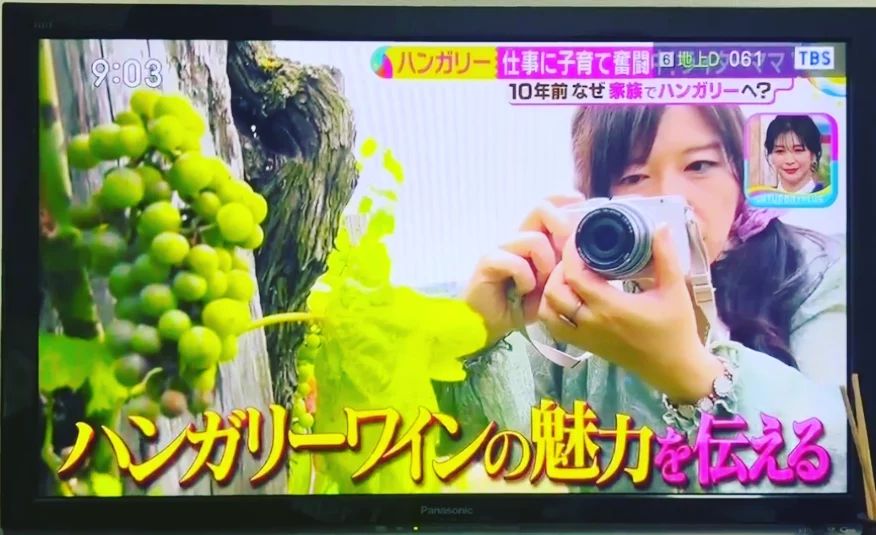 WineHungary's tweet photo. 8/26サタデープラス自己流ライフ ご覧頂いた皆様、本当にご視聴ご感想沢山頂きありがとうございました!スクショは協会賛助会員さんがシェアしてくださった動画から実はまだ悲しいことに見れていません #サタプラ #ハンガリー #papphideko @saturdayplus @WineHungary https://t.co/j64lbLQkPA