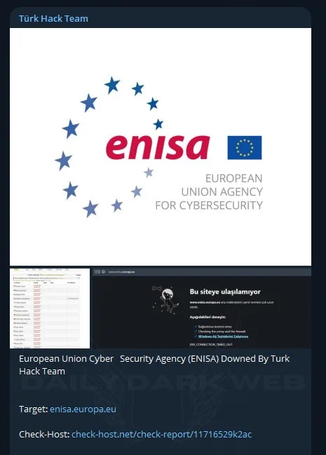 ENISA'ya siber saldırı