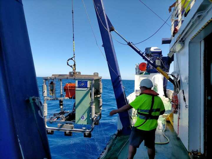 IEO_Cadiz's tweet photo. 🚢2ª parte de la campaña #CIRCASUR2023🚢

🫂Cambiamos parte del equipo y continuamos explorando los fondos sedimentarios batiales del #GolfoDeCádiz🌊con:

⚓️El trineo fotogramétrico #TASIFE
⚓️La draga box-corer

#IEO
#IEOCadiz 
#ABordo
#CIRCASUR
#MiriamSayago
#EstrategiasMarinas https://t.co/OL65G0V1ld