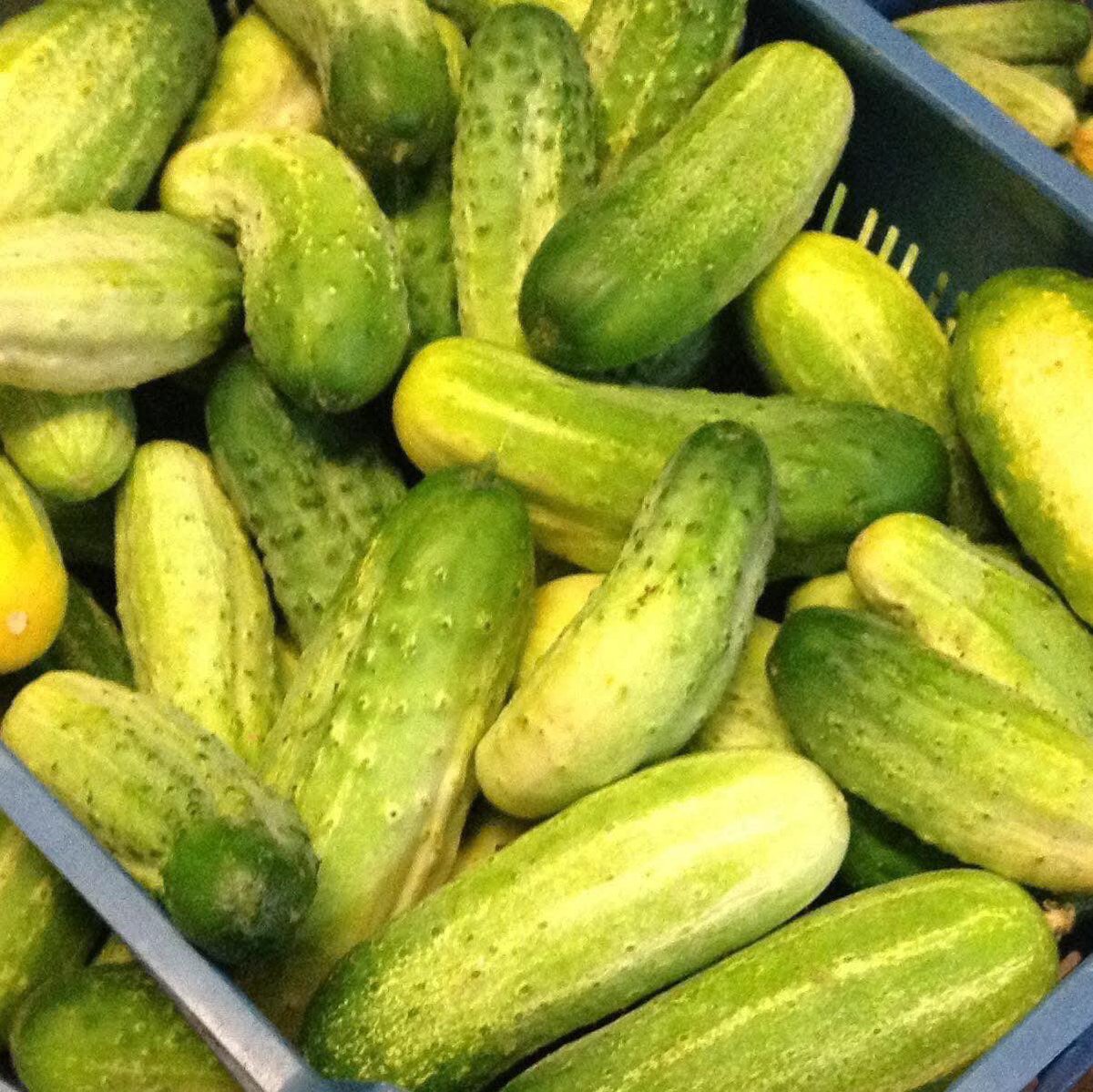 StanhillFarm's tweet photo. 4/4: 👇 Please keep an eye on our website and social media pages for updates, and for information on all of the above.👇
https://t.co/sheteXbVuX
https://t.co/xKTU4YzYS7 
https://t.co/wKlcLawZ52
https://t.co/eLZoJ97bU0 
#stanhillfarm #pyo #pickyourown #kent #kentfarm https://t.co/eEjlHWBks9