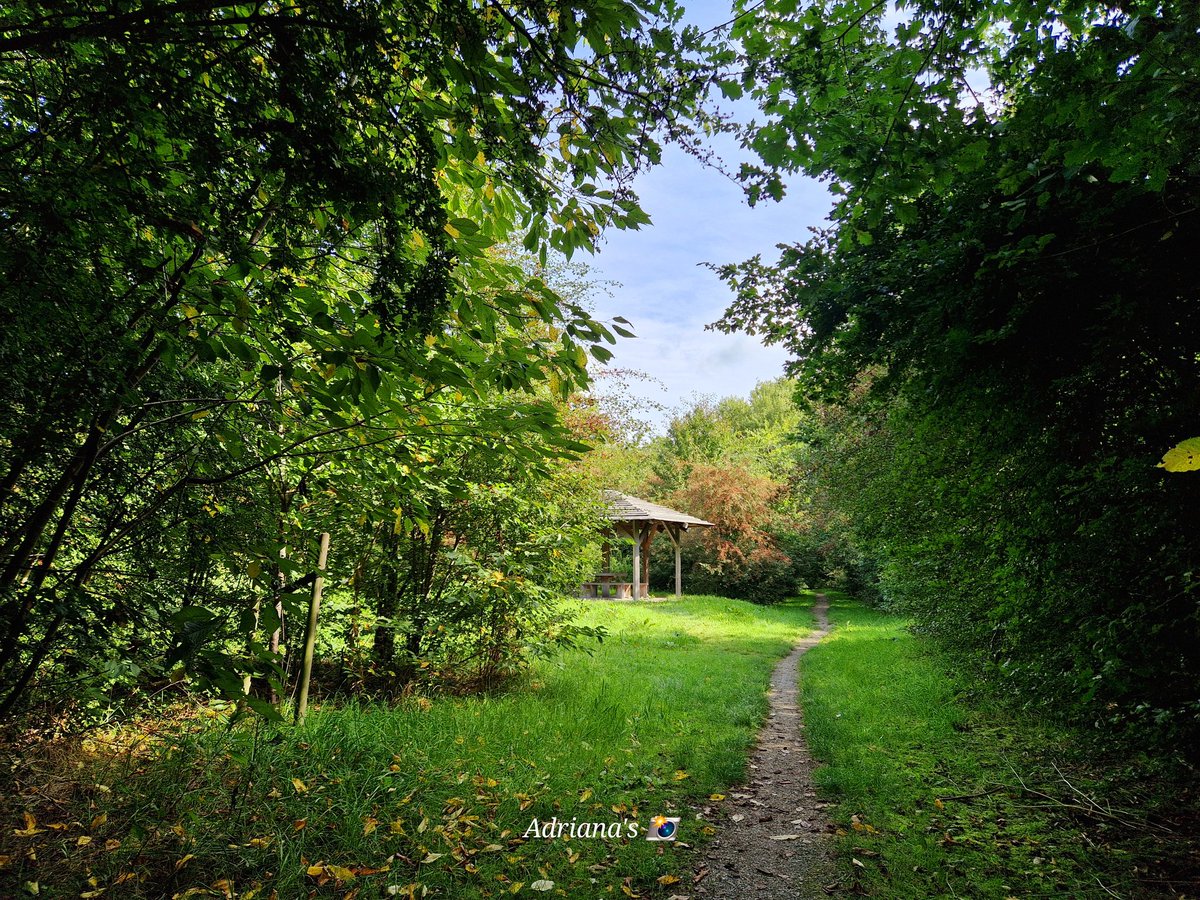 ArjaKastelein's tweet photo. Stil in het #kimsterbosk #kabouterbos #kimswerd https://t.co/l0fRnFtquE