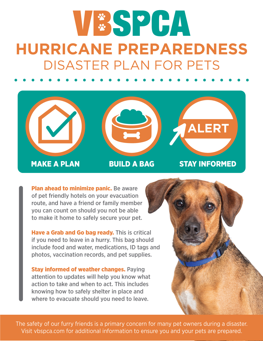 Vbspca dogs sales