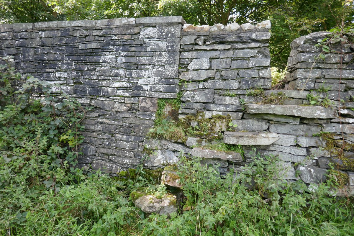 TheLengthsman's tweet image. #Steppingstones up to Colton Beck Bridge for #StyleTuesday
Not very wide ~ you have to cling on !