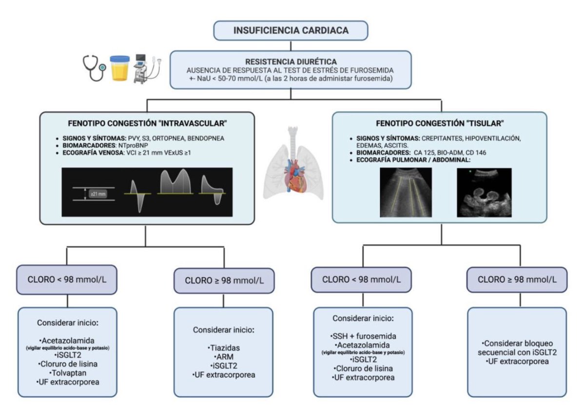 Uno de los temas que más me gusta explicar al pase de visita es el uso de diuréticos y la UF, individualizar los casos clínicos con ecografía y parámetros clinico-bioquímico…. Dejo una excelente revisión …. doi.org/doi:10.1016/j.…