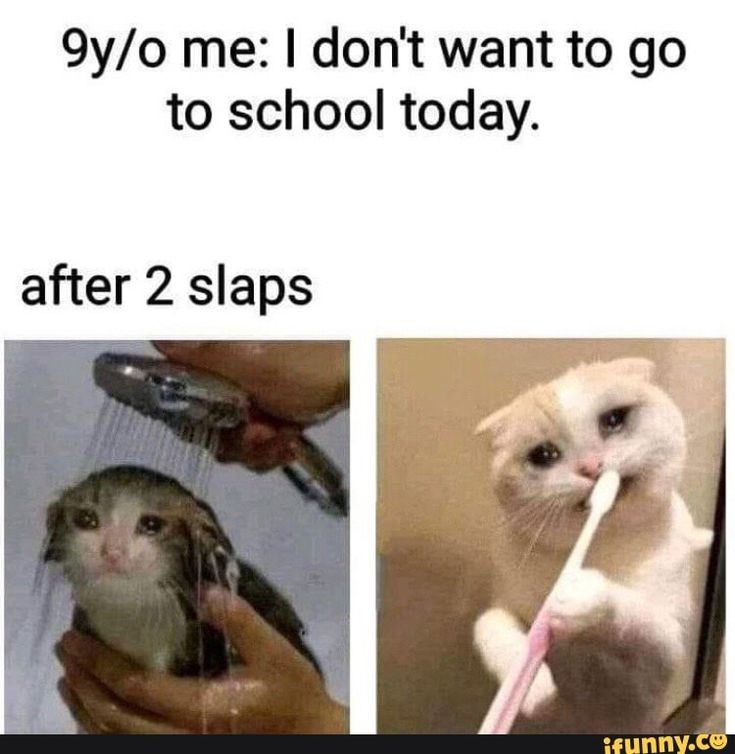 thunderxstorm07's tweet photo. @HumansNoContext https://t.co/JfwM6k6viR