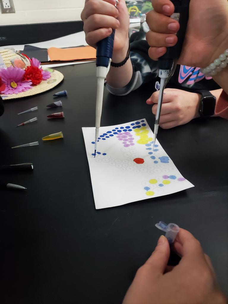 #PBS students are practicing their skills today with a "Miceopippetting by Number" activity! <a href="/VoelzJames/">New Palestine High School</a> <a href="/NPHS_Science/">NPHS Science Team</a>