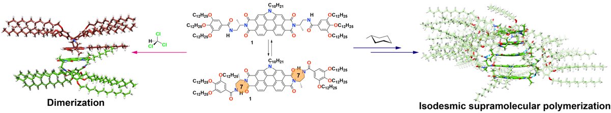 Very productive summer term period!!!! Our last collaborative manuscript about the self-assembly of a chiral NPBI is already out in <a href="/ChemicalScience/">Chemical Science</a>. 👉pubs.rsc.org/en/content/art….
 Kudos to <a href="/Crissnaranjo/">Cristina Naranjo</a>, @AzaharaDoncel, Dr. J. Aragó and Prof. E. Ortí!!!!