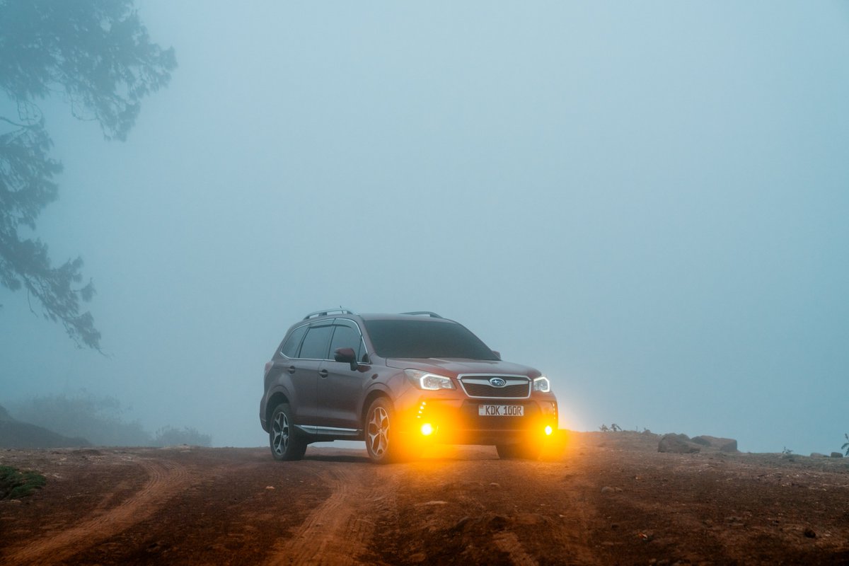 _briankigen's tweet photo. || Forester ||
Subaru ya mambaru out hunting the forest, it's crime, treeson

#apaphoto #automotivephotography #SubaruForester https://t.co/EWMxTdiXuW