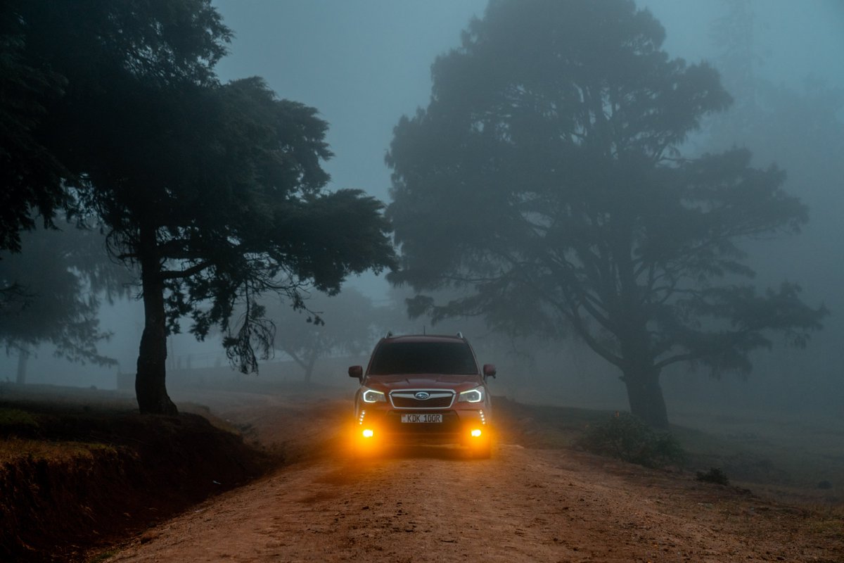 _briankigen's tweet photo. || Forester ||
Subaru ya mambaru out hunting the forest, it's crime, treeson

#apaphoto #automotivephotography #SubaruForester https://t.co/EWMxTdiXuW