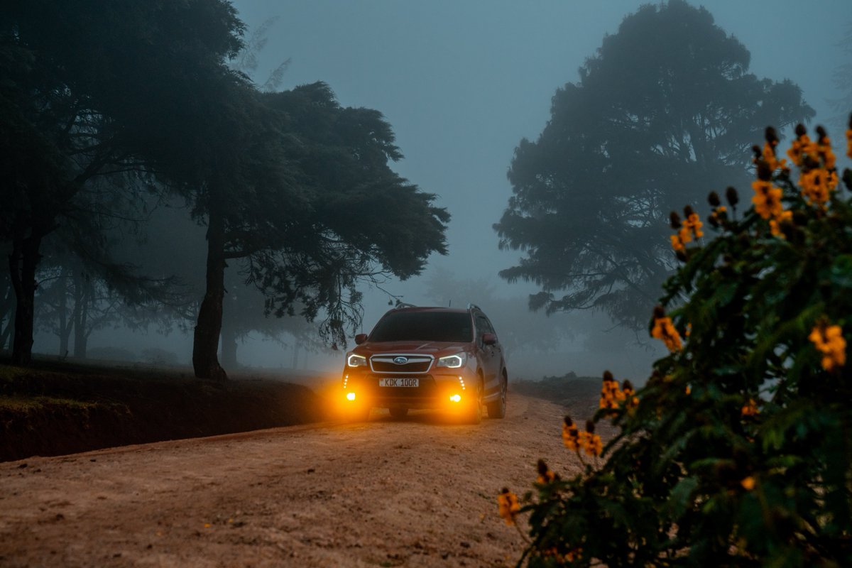 || Forester ||
Subaru ya mambaru out hunting the forest, it's crime, treeson

#apaphoto #automotivephotography #SubaruForester