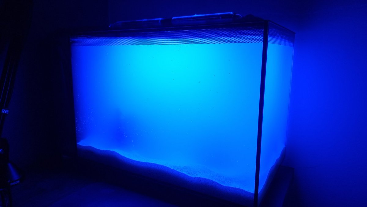 Reece 'Taii' Sowter tweet media