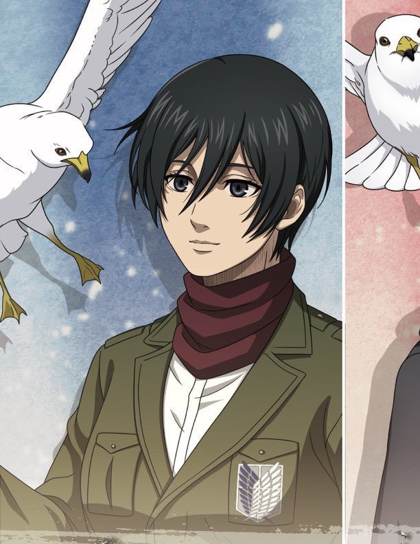 hourly__mikasa's tweet photo. New Mikasa illustration https://t.co/An1QqSAogX