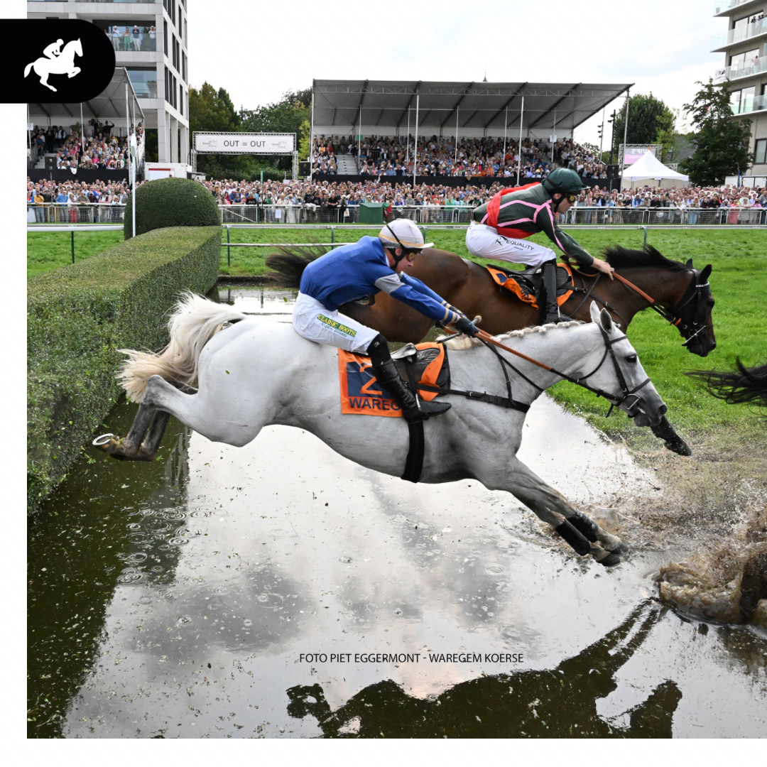 De hamvraag is opgelost! De spanning was te snijden, Polinuit trekt aan het laatste eind. 🍾🎉👏 

Hij mag voor de tweede keer zege vieren in de ING Steeple Chase van Vlaanderen. Proficiat Angelo Zuliani en Sarl Carion E.M.M. ✔️