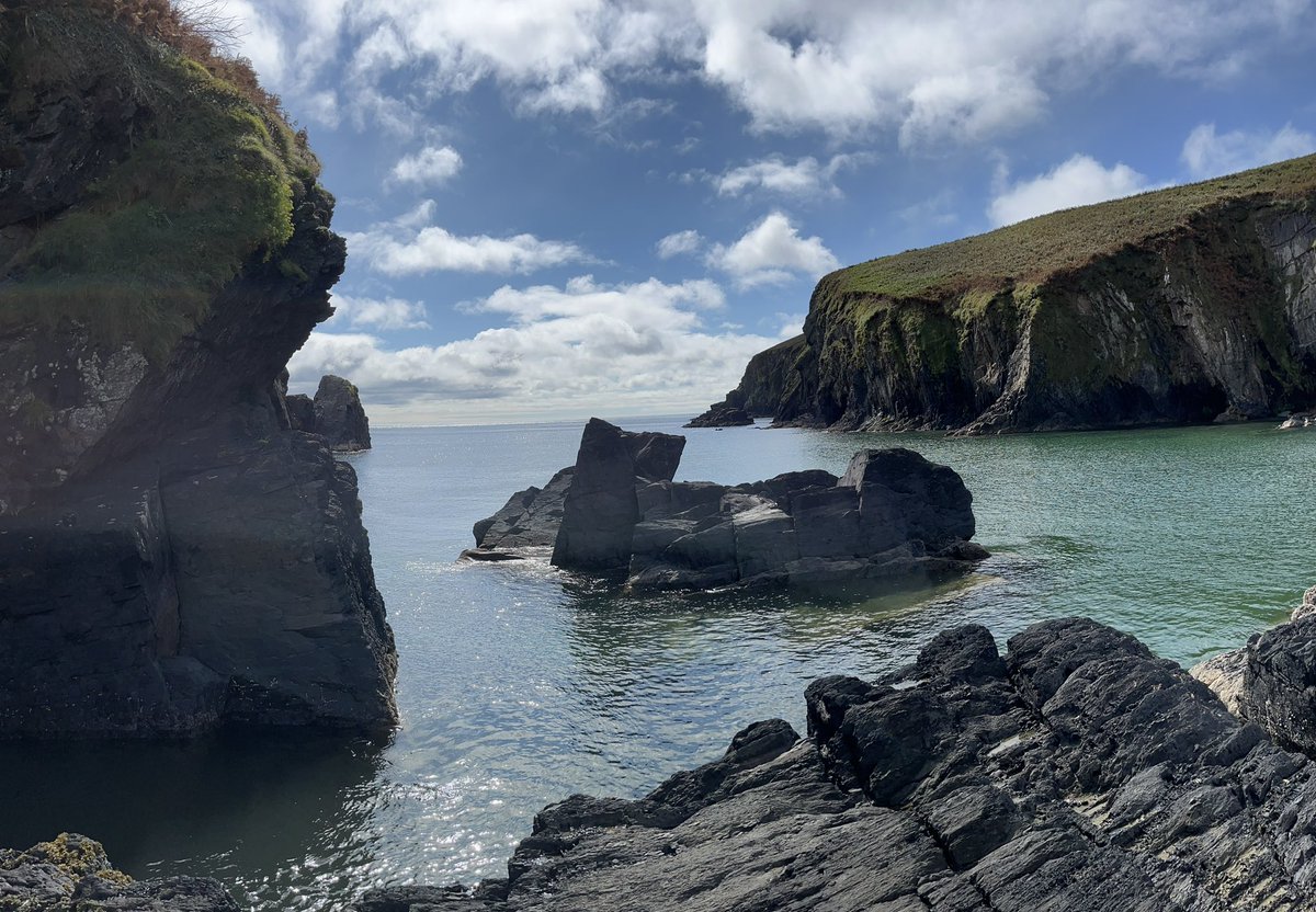 Kaitlin Schaal tweet media