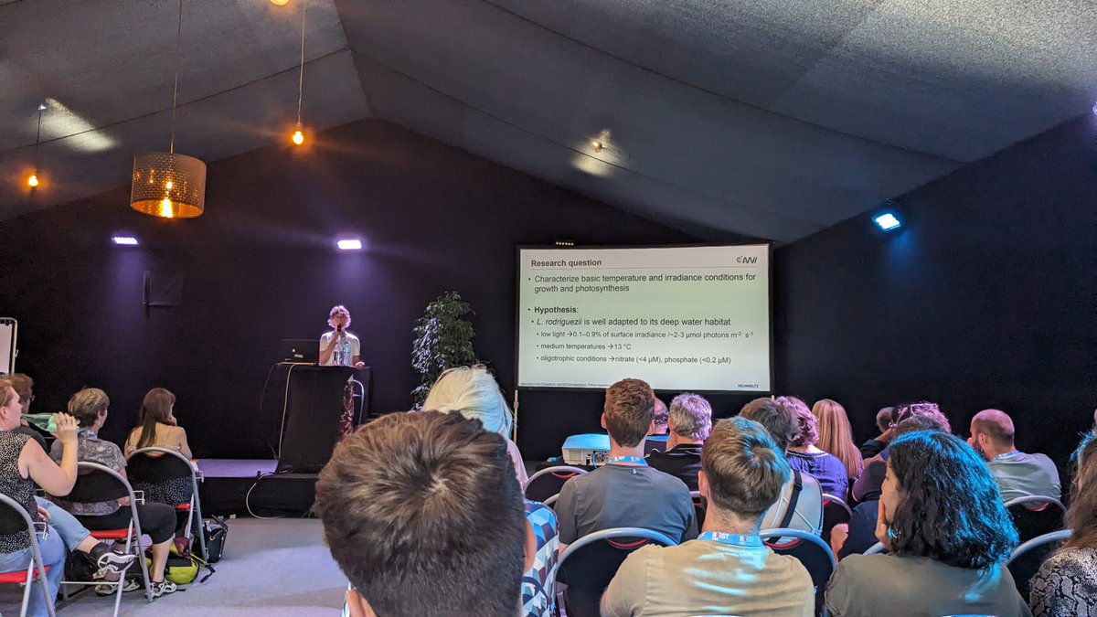 FACEITArctic's tweet photo. We're also very proud that Sarina (@UniBremen) won the award for the #bestposter.

#FACEITProject @EUPolarCluster #EUPolarCluster #Arctic #ArcticResearch #ArcticScience #ArcticEnvironment #EPC8 #EuropeanPhycologicalCongress #science #scientificconference #Bretagne https://t.co/iGbh8kHSdh
