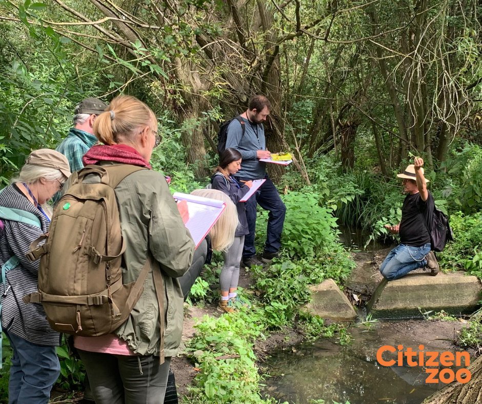 Citizen Zoo tweet media